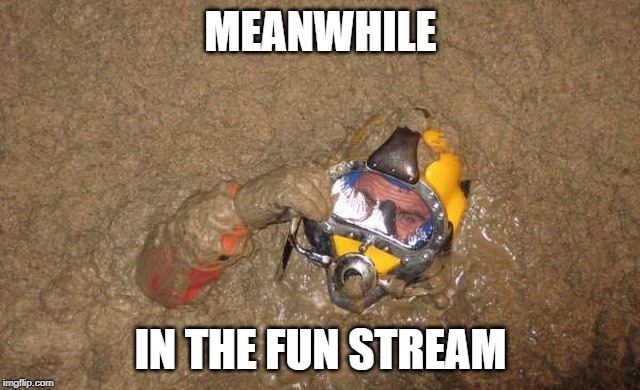 HAHA! | MEANWHILE; IN THE FUN STREAM | image tagged in fun,meanwhile on imgflip | made w/ Imgflip meme maker