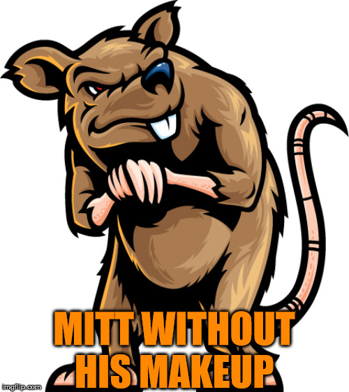 Mitt Romney is a rat | MITT WITHOUT HIS MAKEUP | image tagged in shady rat | made w/ Imgflip meme maker