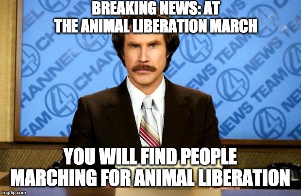 Breaking News: Animal Liberation March | BREAKING NEWS: AT THE ANIMAL LIBERATION MARCH; YOU WILL FIND PEOPLE MARCHING FOR ANIMAL LIBERATION | image tagged in breaking news,animal,animalliberation,animalliberationmarch,millennium falcon,animalliberationconference | made w/ Imgflip meme maker