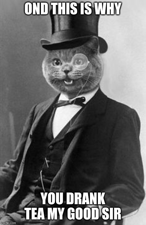 Spiffing Cat | OND THIS IS WHY YOU DRANK TEA MY GOOD SIR | image tagged in spiffing cat | made w/ Imgflip meme maker