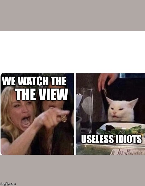 Ladies Yelling at Confused Cat | THE VIEW; WE WATCH THE; USELESS IDIOTS | image tagged in ladies yelling at confused cat | made w/ Imgflip meme maker
