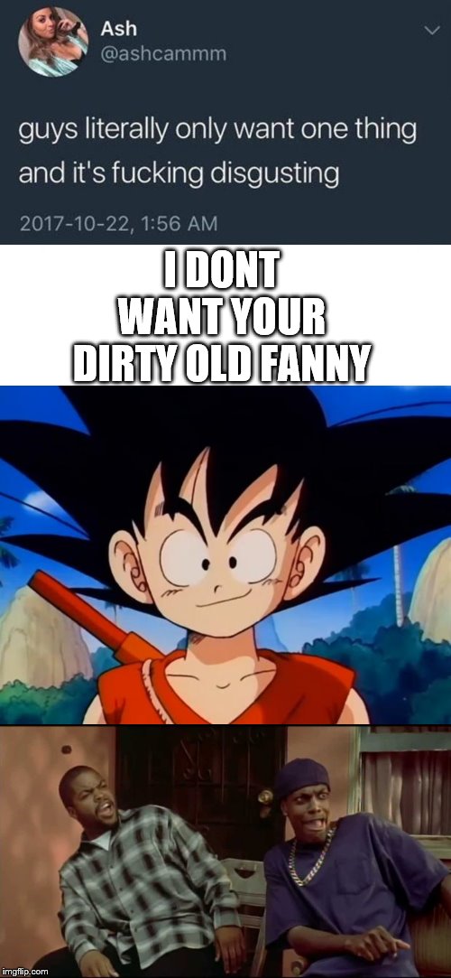 a classic | I DONT WANT YOUR DIRTY OLD FANNY | image tagged in kid goku,dammmn,guys only want one thing | made w/ Imgflip meme maker