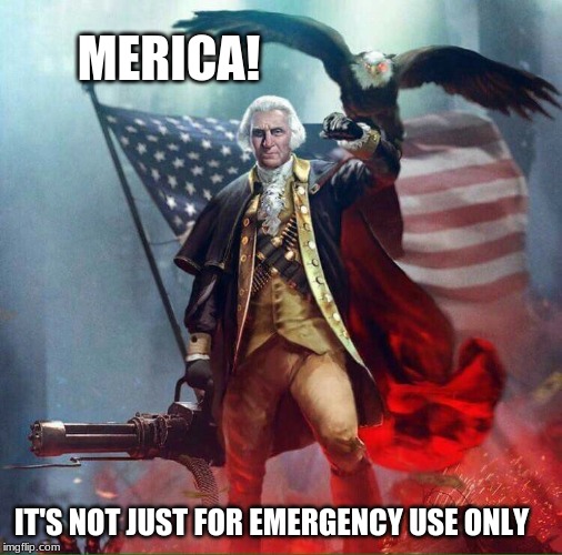 This we will defend | MERICA! IT'S NOT JUST FOR EMERGENCY USE ONLY | image tagged in george washington eagle,this we will defend,all enemies foreign and domestic,democrats are domestic enemies,let's roll,saving th | made w/ Imgflip meme maker