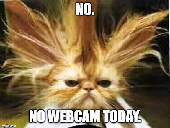 bad hair day | NO. NO WEBCAM TODAY. | image tagged in bad hair day | made w/ Imgflip meme maker
