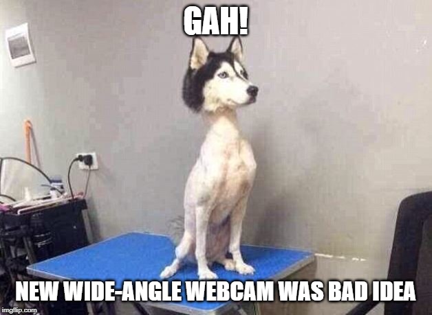 Bad haircut | GAH! NEW WIDE-ANGLE WEBCAM WAS BAD IDEA | image tagged in bad haircut | made w/ Imgflip meme maker