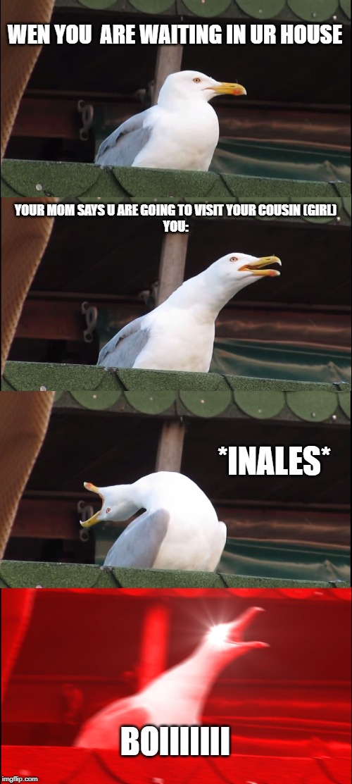 WEN YOU  ARE WAITING IN UR HOUSE YOUR MOM SAYS U ARE GOING TO VISIT YOUR COUSIN (GIRL)
YOU: *INALES* BOIIIIIII | image tagged in memes,inhaling seagull | made w/ Imgflip meme maker