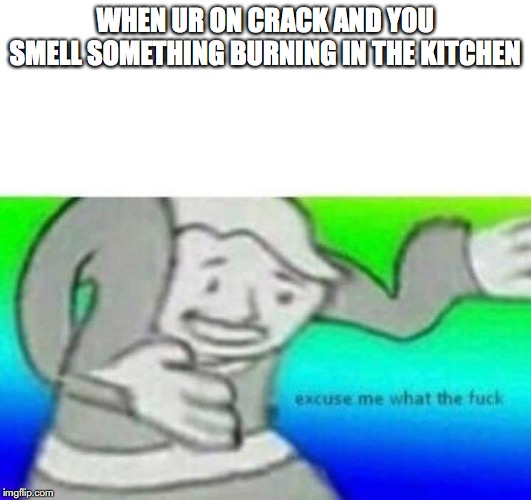Fallout What thy f*ck | WHEN UR ON CRACK AND YOU SMELL SOMETHING BURNING IN THE KITCHEN | image tagged in fallout what thy fck | made w/ Imgflip meme maker