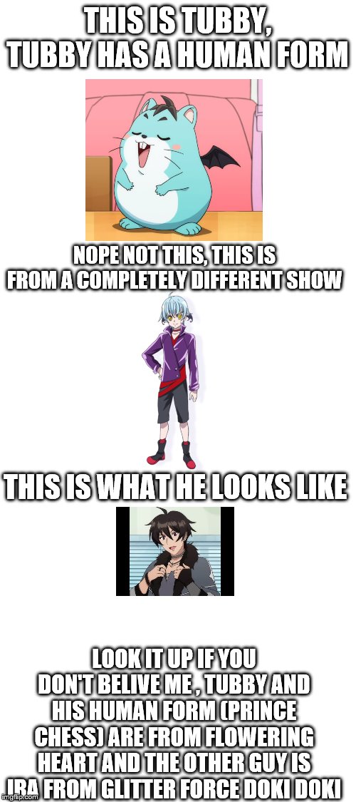 anime logic | THIS IS TUBBY, TUBBY HAS A HUMAN FORM; NOPE NOT THIS, THIS IS FROM A COMPLETELY DIFFERENT SHOW; THIS IS WHAT HE LOOKS LIKE; LOOK IT UP IF YOU DON'T BELIVE ME , TUBBY AND HIS HUMAN FORM (PRINCE CHESS) ARE FROM FLOWERING HEART AND THE OTHER GUY IS IRA FROM GLITTER FORCE DOKI DOKI | image tagged in anime | made w/ Imgflip meme maker