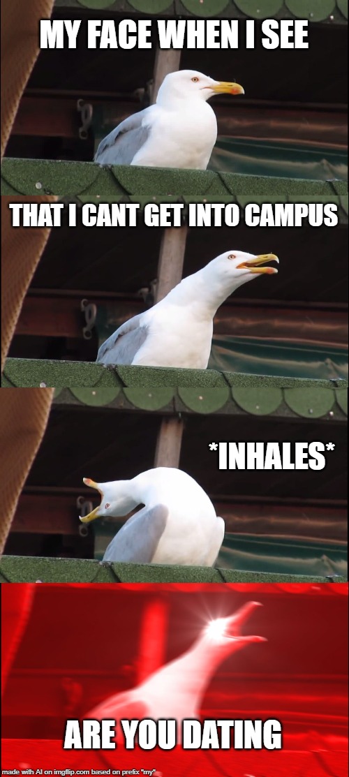 uh... AI? are you okay? | MY FACE WHEN I SEE; THAT I CANT GET INTO CAMPUS; *INHALES*; ARE YOU DATING | image tagged in memes,inhaling seagull | made w/ Imgflip meme maker