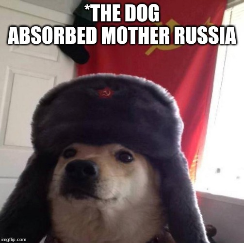 Russian Doge | *THE DOG ABSORBED MOTHER RUSSIA | image tagged in russian doge | made w/ Imgflip meme maker