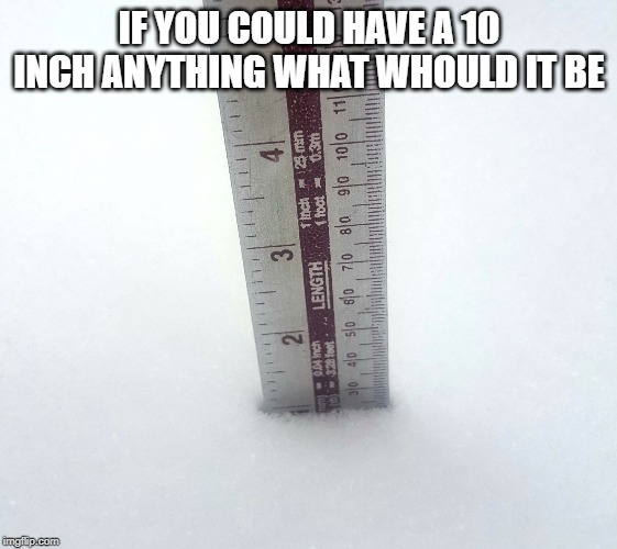 Snow Inches | IF YOU COULD HAVE A 10 INCH ANYTHING WHAT WHOULD IT BE | image tagged in snow inches | made w/ Imgflip meme maker
