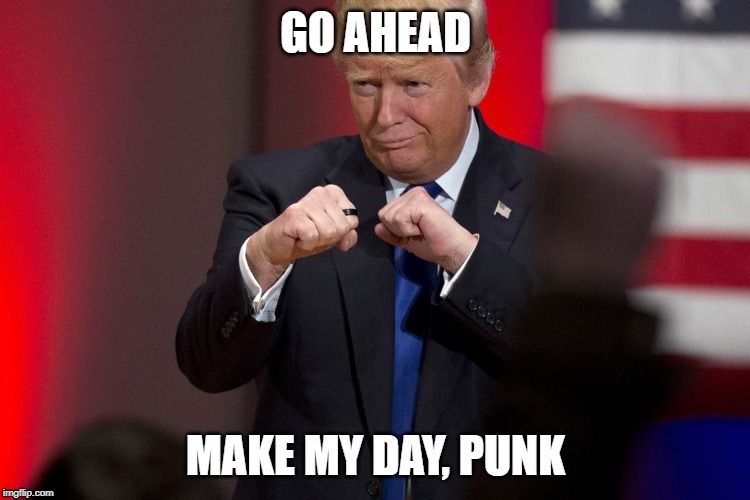GoAheadPunk | image tagged in donald trump,trump,fist,punk,america,boxing | made w/ Imgflip meme maker