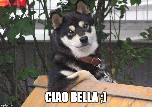 Cool dog | CIAO BELLA ;) | image tagged in cool dog | made w/ Imgflip meme maker