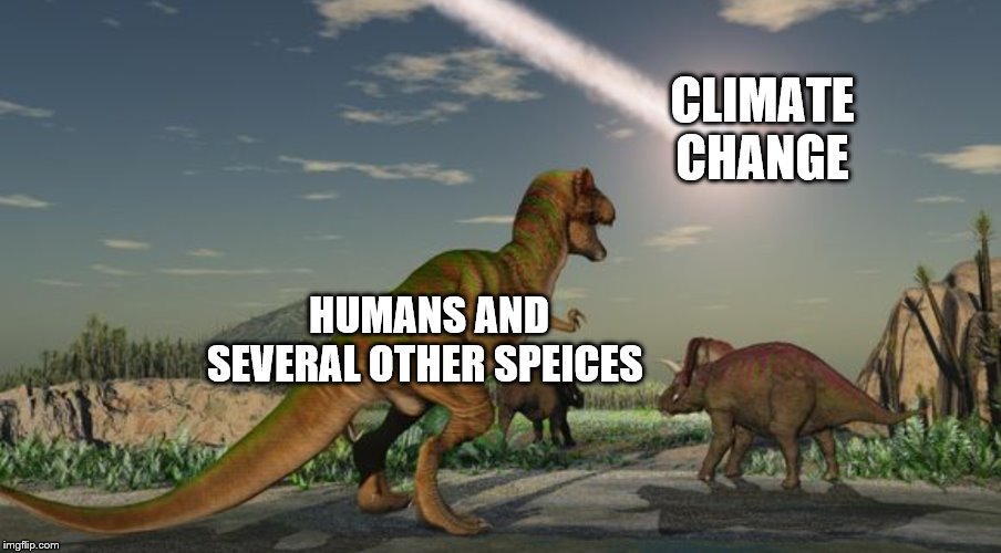 Dinosaurs meteor | CLIMATE CHANGE; HUMANS AND SEVERAL OTHER SPEICES | image tagged in dinosaurs meteor | made w/ Imgflip meme maker