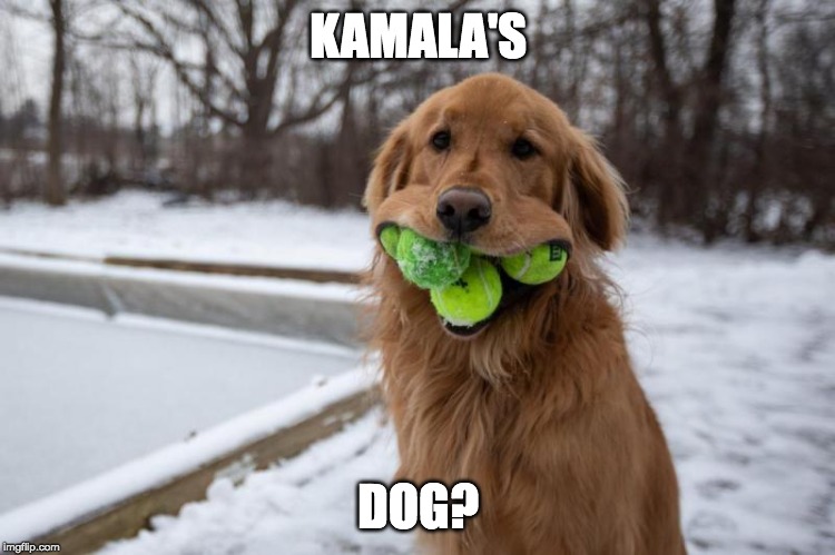KAMALA'S; DOG? | made w/ Imgflip meme maker