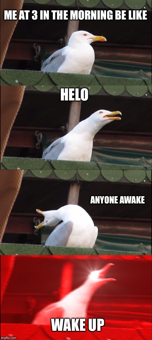 Inhaling Seagull | ME AT 3 IN THE MORNING BE LIKE; HELO; ANYONE AWAKE; WAKE UP | image tagged in memes,inhaling seagull | made w/ Imgflip meme maker