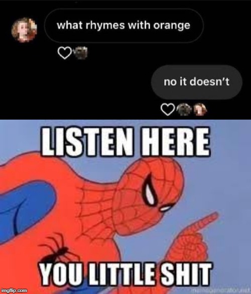 Why would you say something so controversial yet so brave? | image tagged in now listen here you little shit,funny,memes,orange,rhymes | made w/ Imgflip meme maker