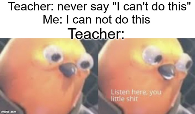 Listen here kid | Teacher: never say "I can't do this"; Me: I can not do this; Teacher: | image tagged in listen here you little shit bird,funny,memes,teacher,can't,now listen here you little shit | made w/ Imgflip meme maker