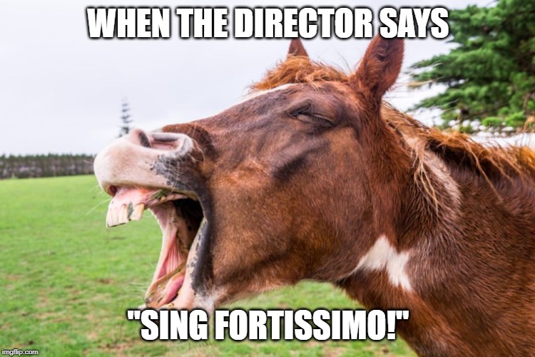 Singing fortissimo | WHEN THE DIRECTOR SAYS; "SING FORTISSIMO!" | image tagged in singing fortissimo | made w/ Imgflip meme maker