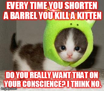 EVERY TIME YOU SHORTEN A BARREL
YOU KILL A KITTEN DO YOU REALLY WANT THAT ON YOUR CONSCIENCE?
I THINK NO. | made w/ Imgflip meme maker
