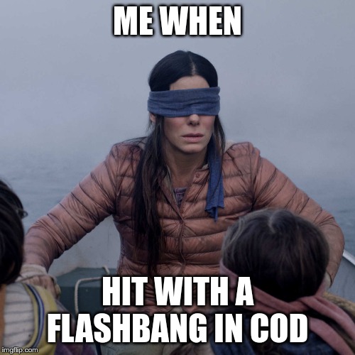 Bird Box | ME WHEN; HIT WITH A FLASHBANG IN COD | image tagged in memes,bird box | made w/ Imgflip meme maker