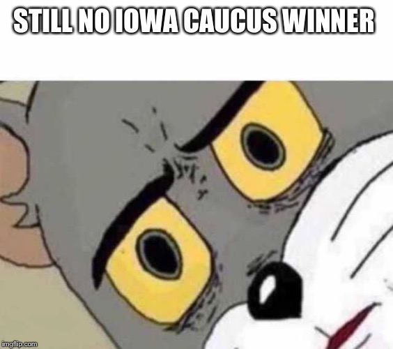 Tom Cat Unsettled Close up | STILL NO IOWA CAUCUS WINNER | image tagged in tom cat unsettled close up | made w/ Imgflip meme maker