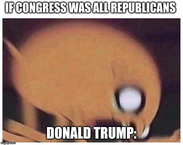 ANGRY JAKE | IF CONGRESS WAS ALL REPUBLICANS; DONALD TRUMP: | image tagged in angry jake | made w/ Imgflip meme maker