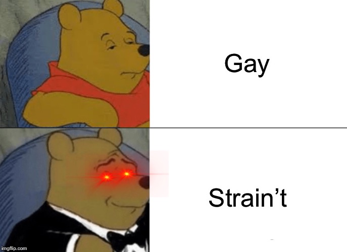 Tuxedo Winnie The Pooh Meme | Gay; Strain’t | image tagged in memes,tuxedo winnie the pooh | made w/ Imgflip meme maker