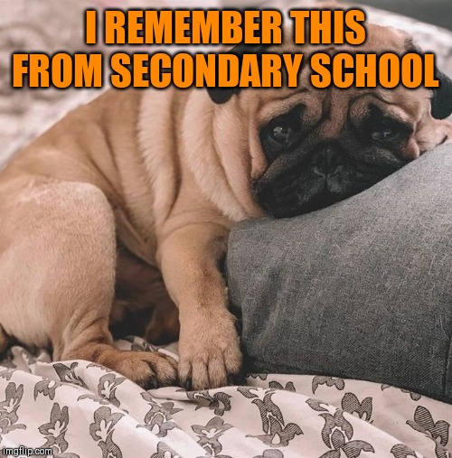 I REMEMBER THIS FROM SECONDARY SCHOOL | made w/ Imgflip meme maker