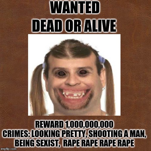 WANTED; DEAD OR ALIVE; REWARD 1,000,000,000
CRIMES: LOOKING PRETTY, SHOOTING A MAN, BEING SEXIST,  RAPE RAPE RAPE RAPE | image tagged in wanted | made w/ Imgflip meme maker