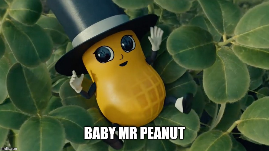 Baby Mr Peanut | BABY MR PEANUT | image tagged in baby mr peanut | made w/ Imgflip meme maker