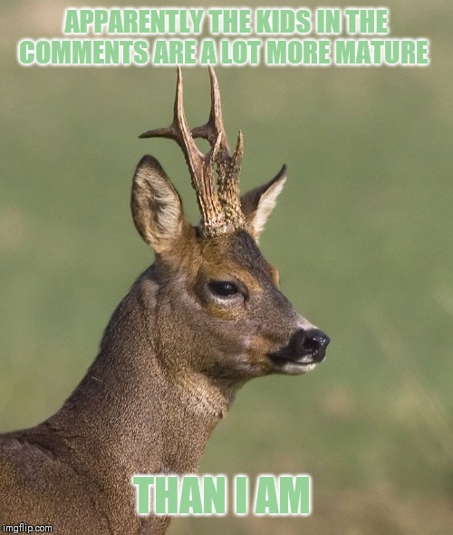 Sad deer | APPARENTLY THE KIDS IN THE COMMENTS ARE A LOT MORE MATURE THAN I AM | image tagged in sad deer | made w/ Imgflip meme maker