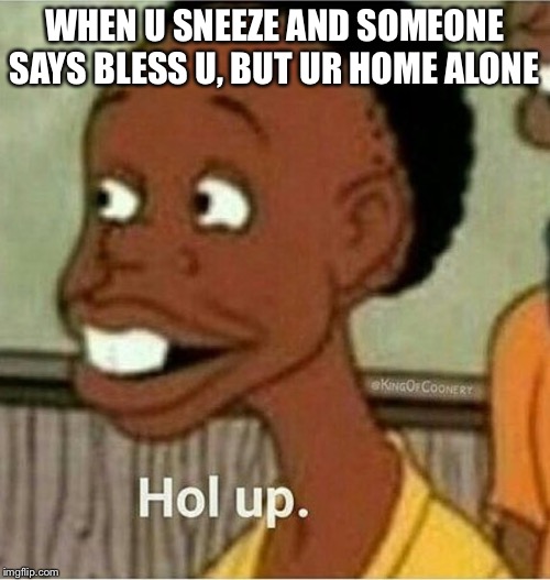 hol up | WHEN U SNEEZE AND SOMEONE SAYS BLESS U, BUT UR HOME ALONE | image tagged in hol up | made w/ Imgflip meme maker