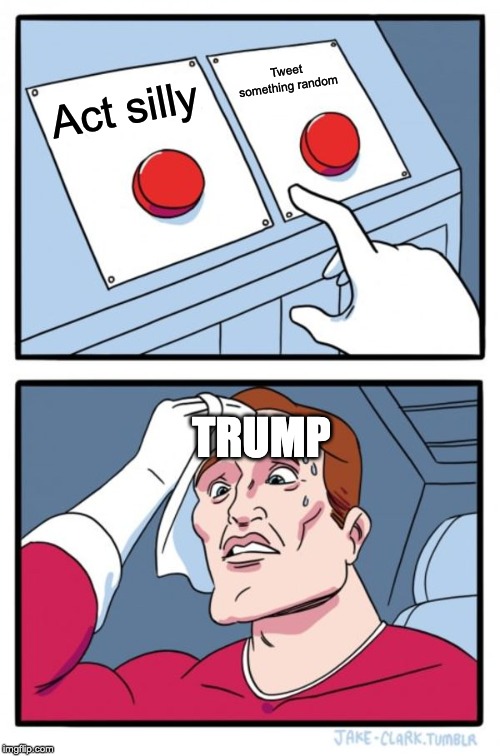 Two Buttons | Tweet something random; Act silly; TRUMP | image tagged in memes,two buttons | made w/ Imgflip meme maker
