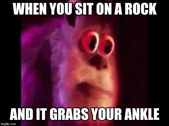 Sully Groan | WHEN YOU SIT ON A ROCK; AND IT GRABS YOUR ANKLE | image tagged in sully groan | made w/ Imgflip meme maker