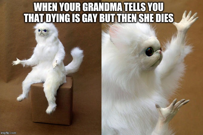Persian Cat Room Guardian Meme | WHEN YOUR GRANDMA TELLS YOU THAT DYING IS GAY BUT THEN SHE DIES | image tagged in memes,persian cat room guardian | made w/ Imgflip meme maker