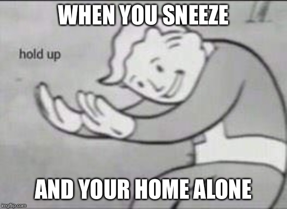 Fallout Hold Up | WHEN YOU SNEEZE; AND YOUR HOME ALONE | image tagged in fallout hold up | made w/ Imgflip meme maker