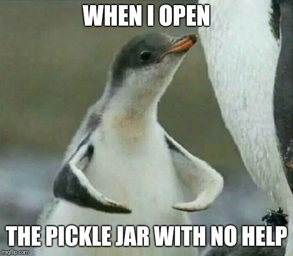 Muscle Penguin | WHEN I OPEN; THE PICKLE JAR WITH NO HELP | image tagged in muscle penguin | made w/ Imgflip meme maker