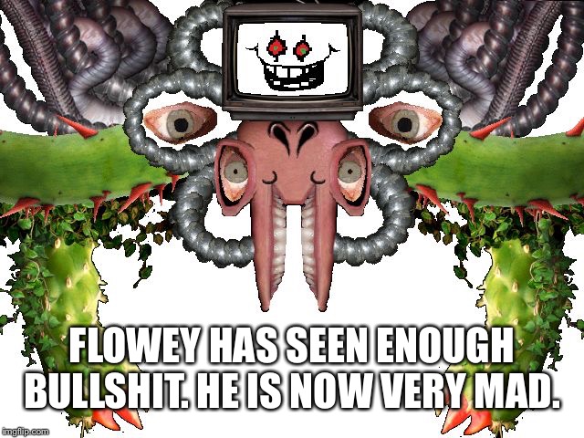 Omega Flowey | FLOWEY HAS SEEN ENOUGH BULLSHIT. HE IS NOW VERY MAD. | image tagged in omega flowey | made w/ Imgflip meme maker