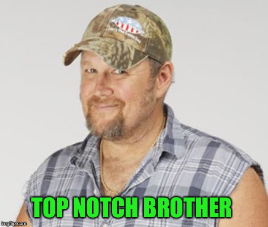 Larry The Cable Guy Meme | TOP NOTCH BROTHER | image tagged in memes,larry the cable guy | made w/ Imgflip meme maker