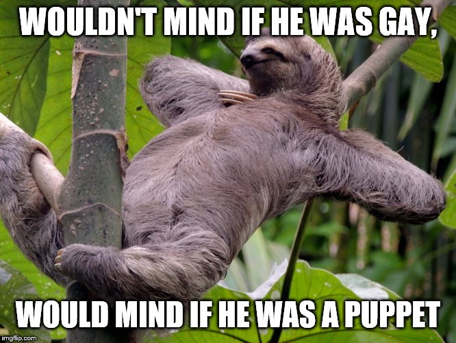 Lazy Sloth | WOULDN'T MIND IF HE WAS GAY, WOULD MIND IF HE WAS A PUPPET | image tagged in lazy sloth | made w/ Imgflip meme maker