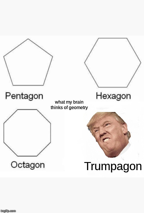 geometry logic | what my brain thinks of geometry; Trumpagon | image tagged in memes,pentagon hexagon octagon | made w/ Imgflip meme maker