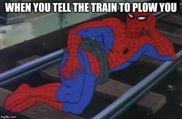 Sexy Railroad Spiderman | WHEN YOU TELL THE TRAIN TO PLOW YOU | image tagged in memes,sexy railroad spiderman,spiderman | made w/ Imgflip meme maker