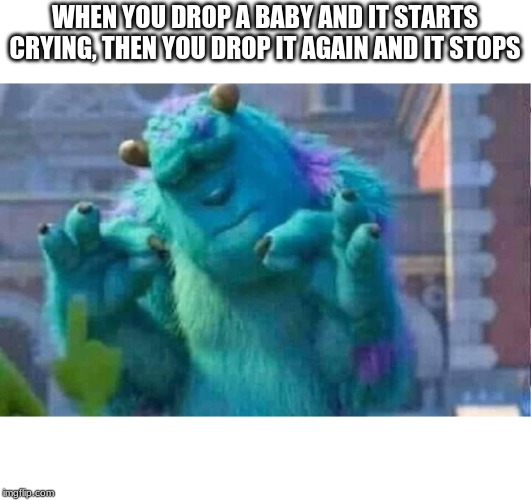 Sully shutdown | WHEN YOU DROP A BABY AND IT STARTS CRYING, THEN YOU DROP IT AGAIN AND IT STOPS | image tagged in sully shutdown | made w/ Imgflip meme maker