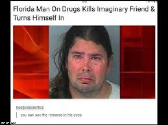 I know other people have made this, but it's way too funny! | image tagged in florida man,imaginary friends | made w/ Imgflip meme maker
