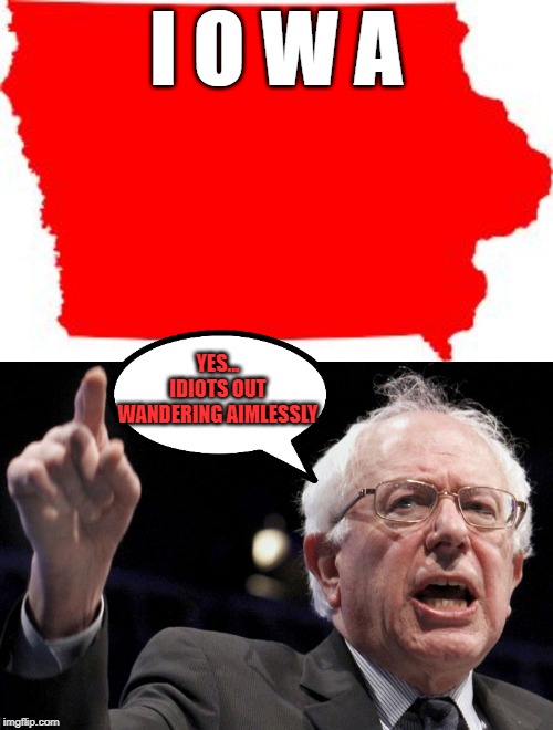 I O W A; YES... IDIOTS OUT WANDERING AIMLESSLY | image tagged in bernie sanders,iowa | made w/ Imgflip meme maker