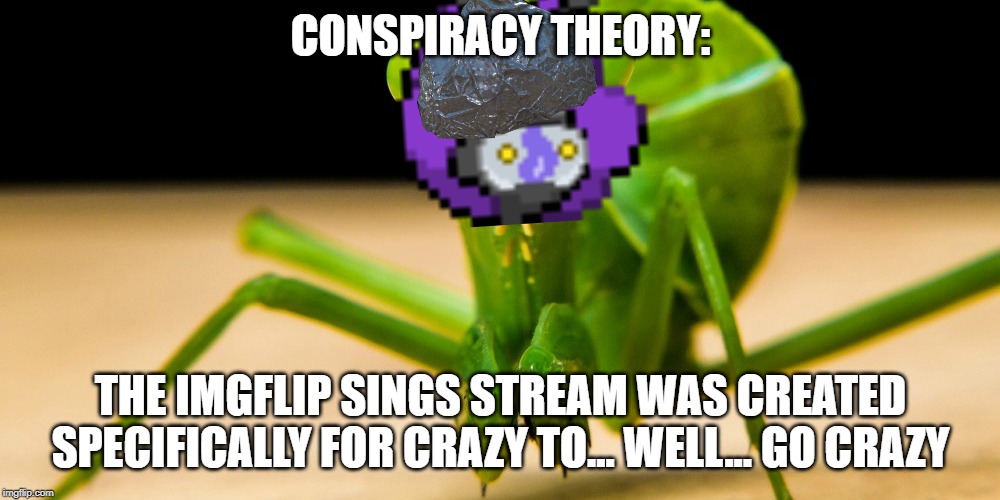 CONSPIRACY THEORY: THE IMGFLIP SINGS STREAM WAS CREATED SPECIFICALLY FOR CRAZY TO... WELL... GO CRAZY | made w/ Imgflip meme maker