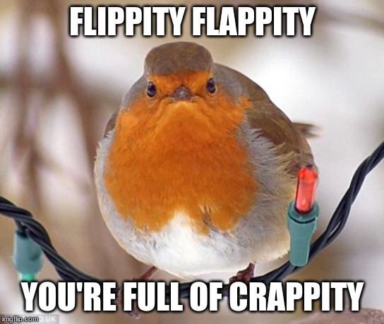 Bah Humbug | FLIPPITY FLAPPITY; YOU'RE FULL OF CRAPPITY | image tagged in memes,bah humbug | made w/ Imgflip meme maker