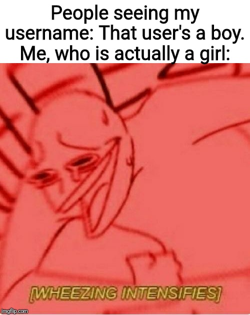 Yes, I'm a girl. | People seeing my username: That user's a boy.
Me, who is actually a girl: | image tagged in wheeze,memes,imgflip,do not question the elevated one | made w/ Imgflip meme maker