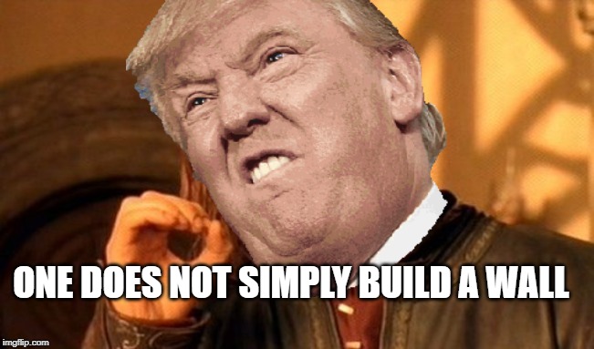 ONE DOES NOT SIMPLY BUILD A WALL | image tagged in donald trump | made w/ Imgflip meme maker